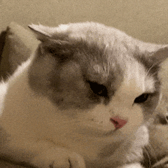 深圳外地车注意！春节前后25天不限行，限号处罚有调整