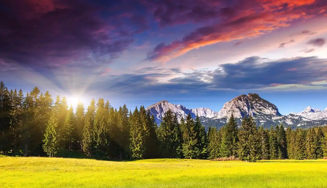 2025高考冲刺秘籍:拒绝内耗+相信自己+啃透题目+补齐短板