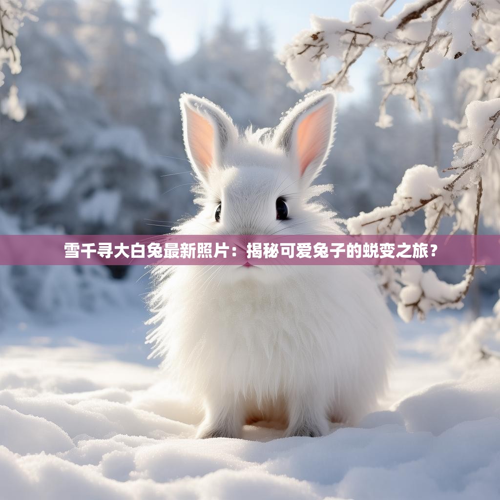 雪千寻大白兔最新照片:揭秘可爱兔子的蜕变之旅?