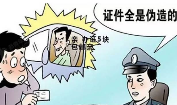 包头实施最严交规后,交通状况和事故率有何变化?