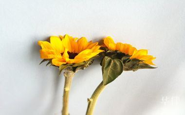 高速违章扣分咋处理?线上线下全流程及所需材料都在这儿了