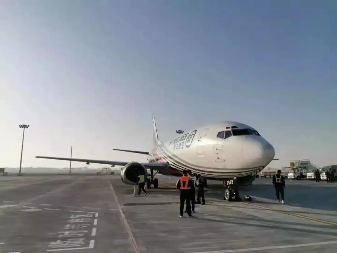 快递停运期间:中国邮政、顺丰速运包裹处理及消杀情况