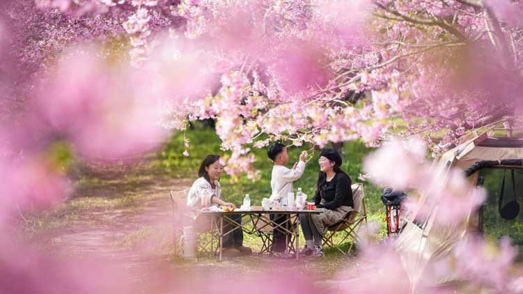 美妆博主称举报占用应急车道有高额奖励,真相究竟如何?