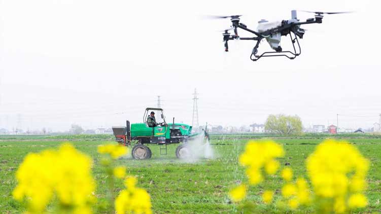 美妆博主称举报占用应急车道有高额奖励,真相究竟如何?