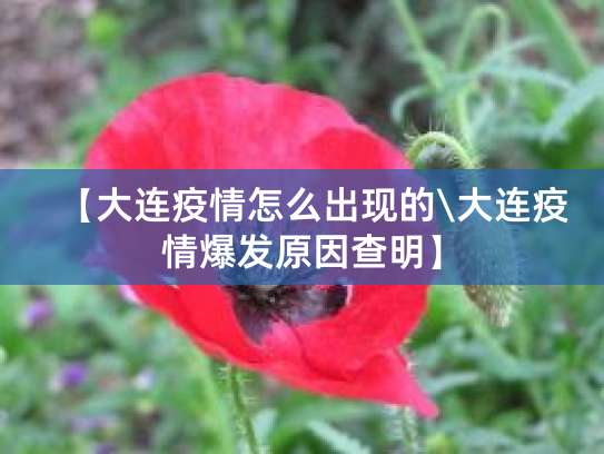 大连疫情爆发：新增6例确诊106例无症状